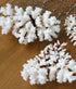 Pocillopora damicornis brown stem coral